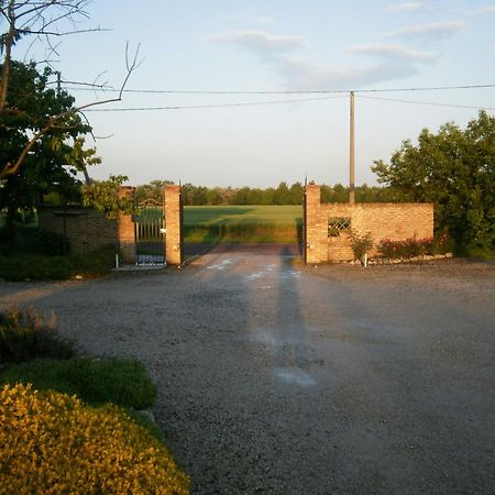 Agriturismo La Cascinetta Pieve di Cento Luaran gambar